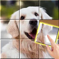 Jigsaw Sort APK