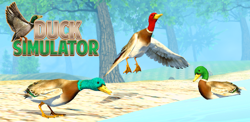 Duck Family Bird Life Sim Screenshot4