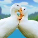 Duck Family Bird Life Sim APK