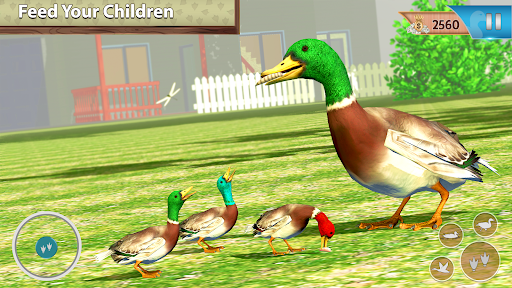 Duck Family Bird Life Sim Screenshot2