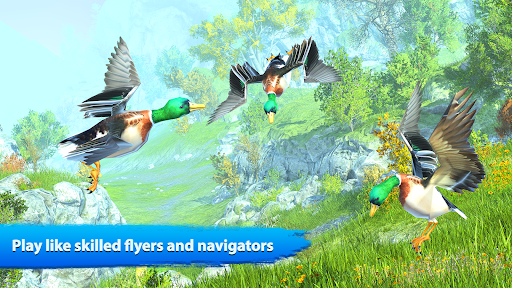 Duck Family Bird Life Sim Screenshot6
