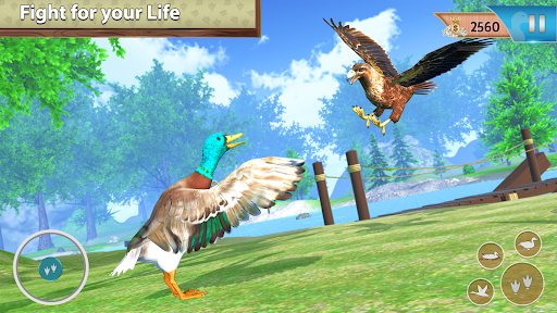 Duck Family Bird Life Sim Screenshot5