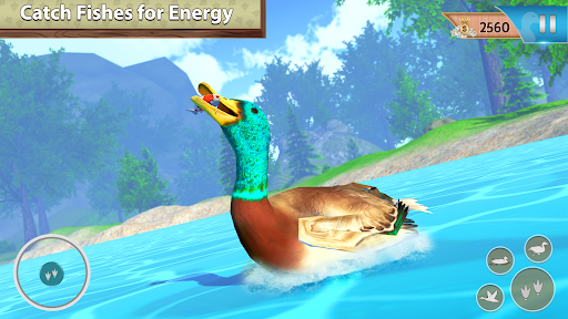 Duck Family Bird Life Sim Screenshot3