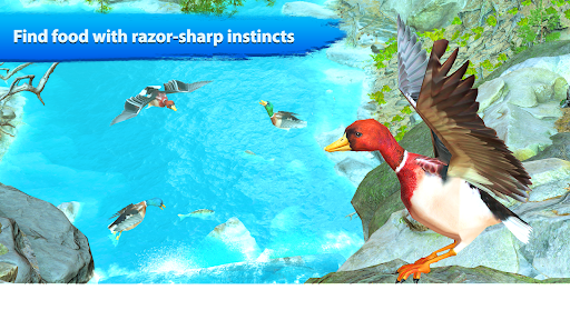 Duck Family Bird Life Sim Screenshot1