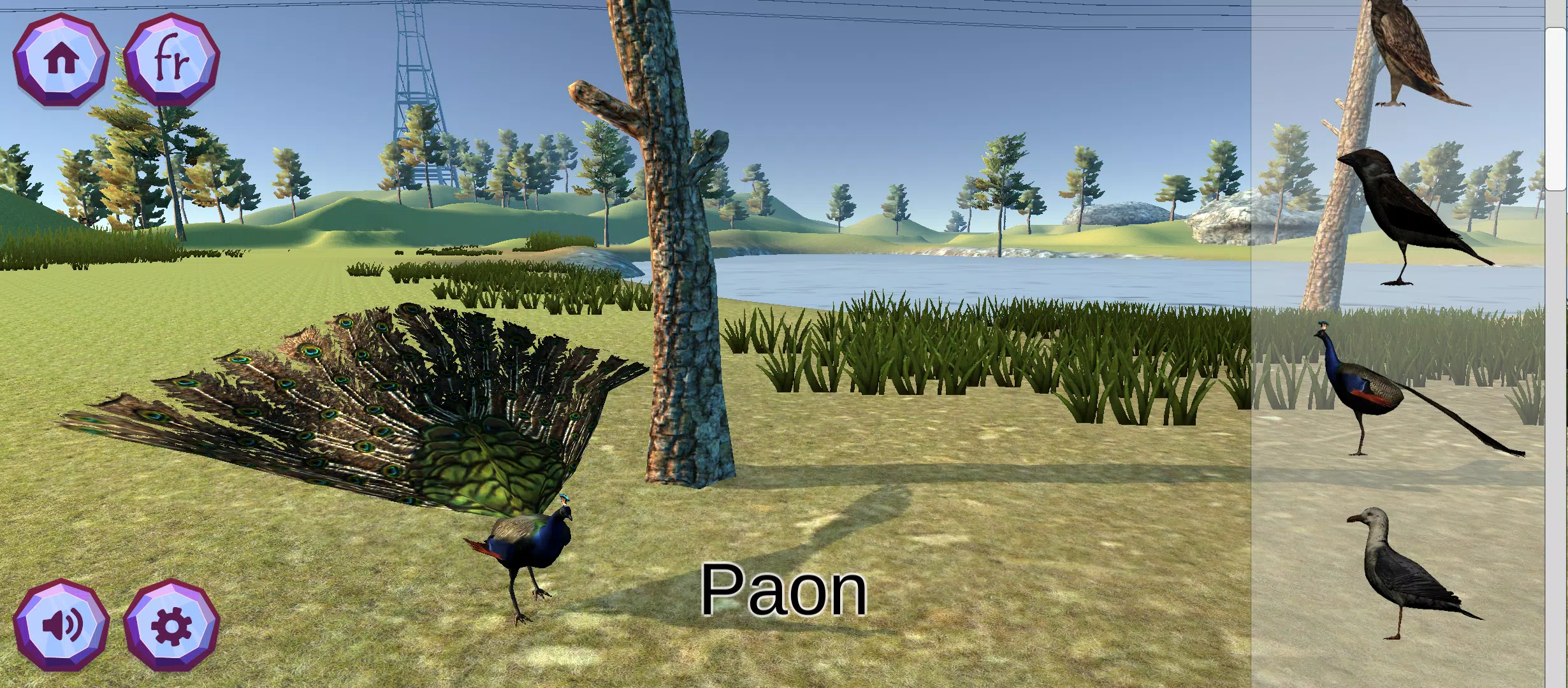 Zookidi-3D Screenshot7