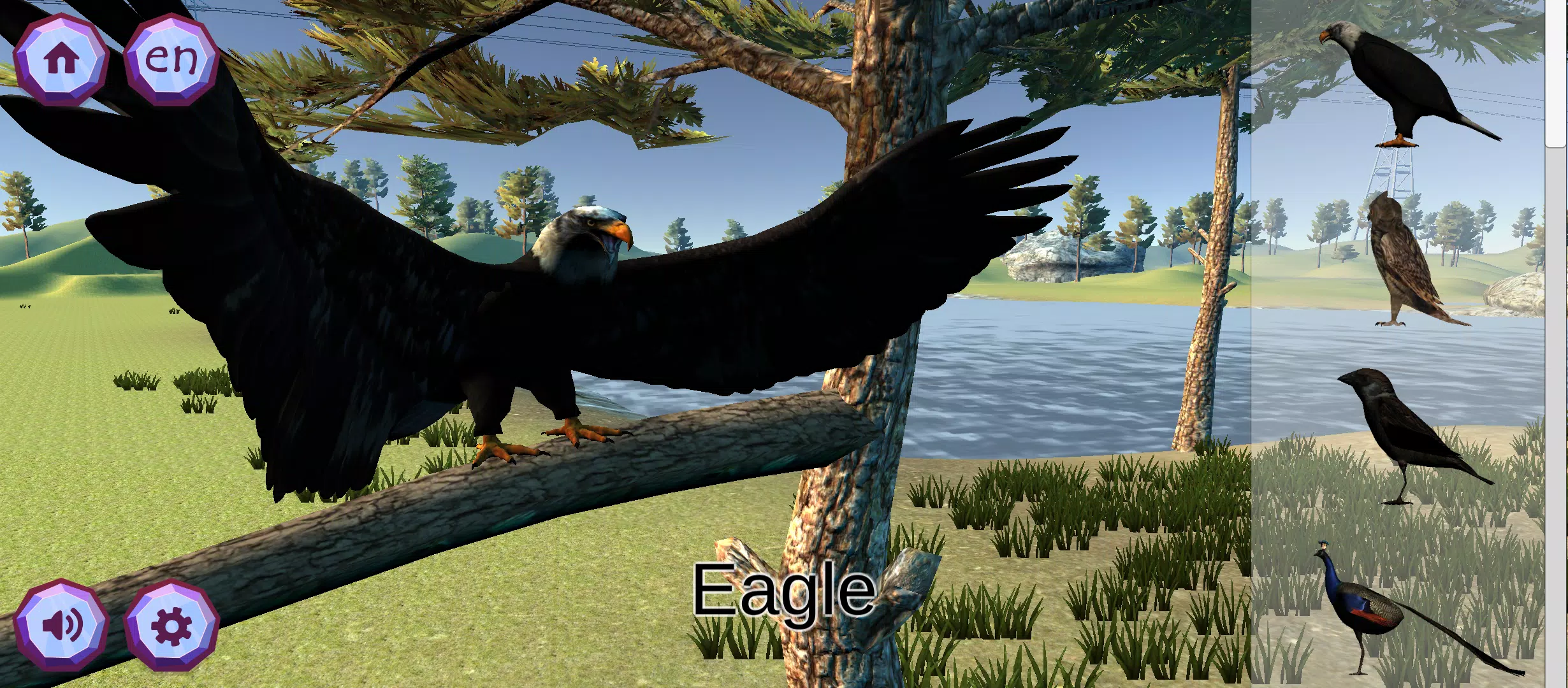 Zookidi-3D Screenshot8