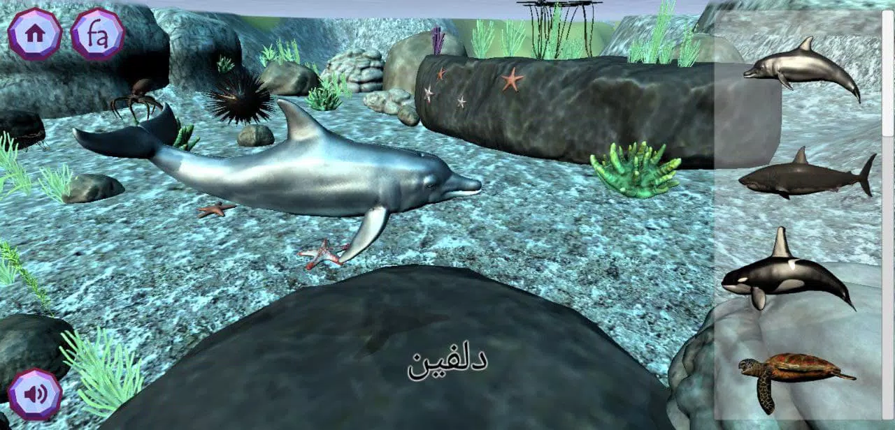 Zookidi-3D Screenshot6