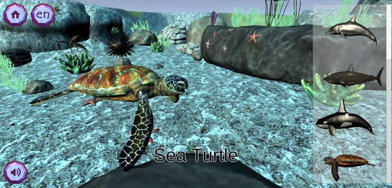 Zookidi-3D Screenshot1