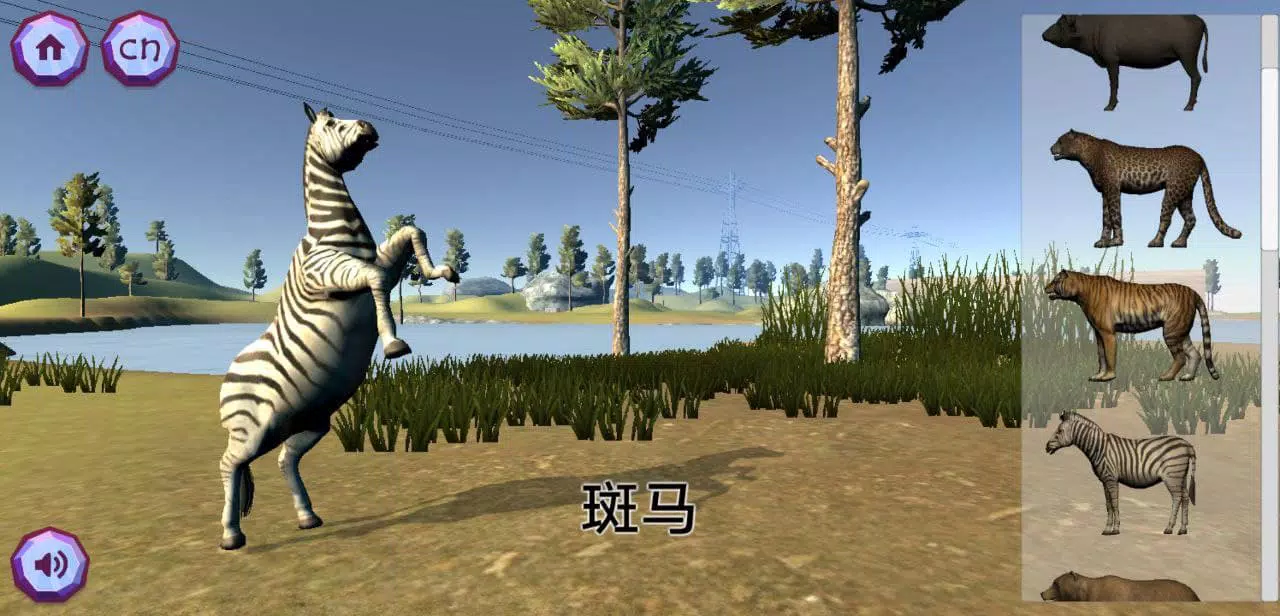 Zookidi-3D Screenshot3