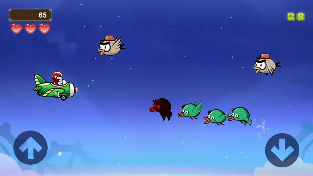 Bird Attack Screenshot3