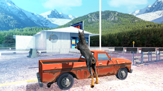 Doberman Dog Simulator 3D Screenshot16