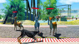 Doberman Dog Simulator 3D Screenshot2