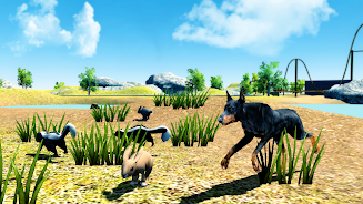 Doberman Dog Simulator 3D Screenshot5