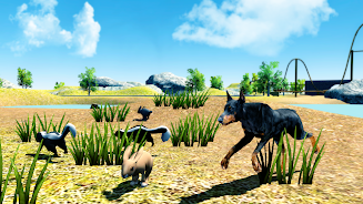 Doberman Dog Simulator 3D Screenshot7