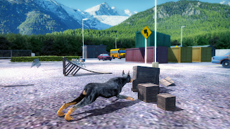 Doberman Dog Simulator 3D Screenshot23