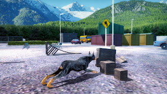 Doberman Dog Simulator 3D Screenshot22