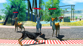 Doberman Dog Simulator 3D Screenshot18