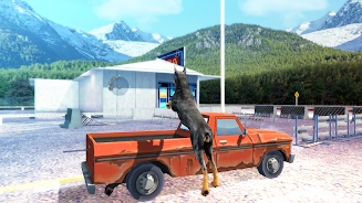Doberman Dog Simulator 3D Screenshot12
