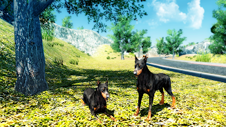 Doberman Dog Simulator 3D Screenshot24