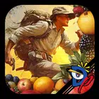 Pick Fruit APK