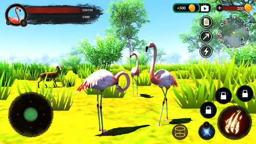 The Flamingo Screenshot3