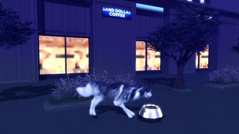 Husky Dog Simulator 3D Screenshot16