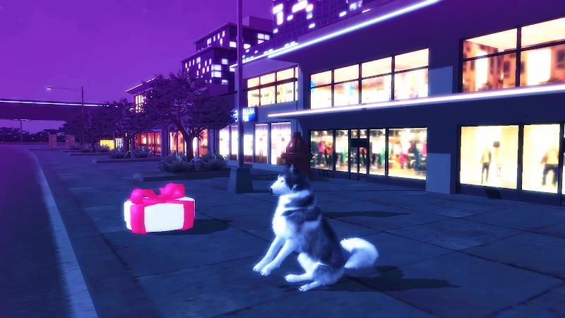 Husky Dog Simulator 3D Screenshot14