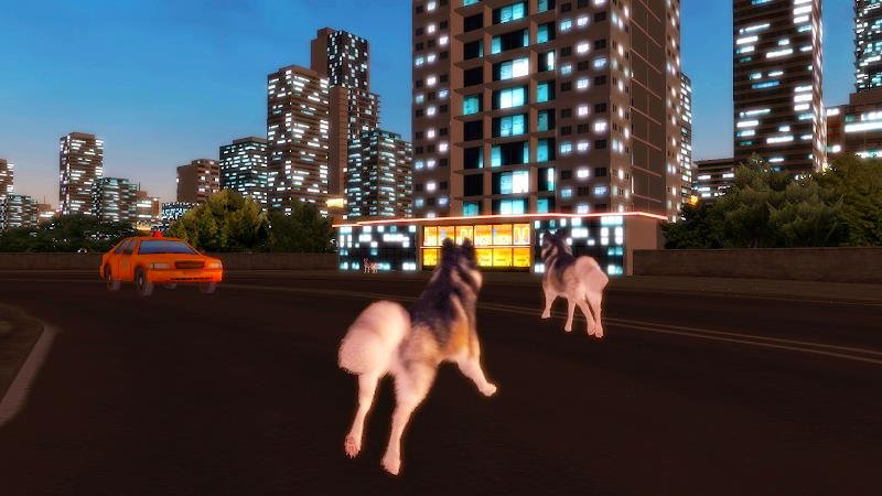 Husky Dog Simulator 3D Screenshot3