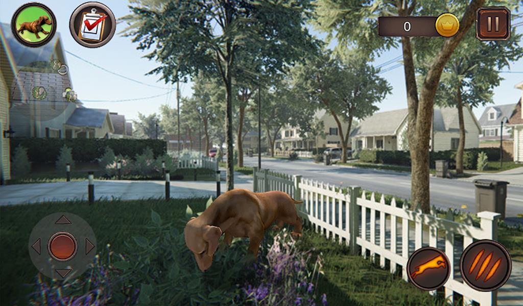 Dachshund Dog Simulator 3D Screenshot14