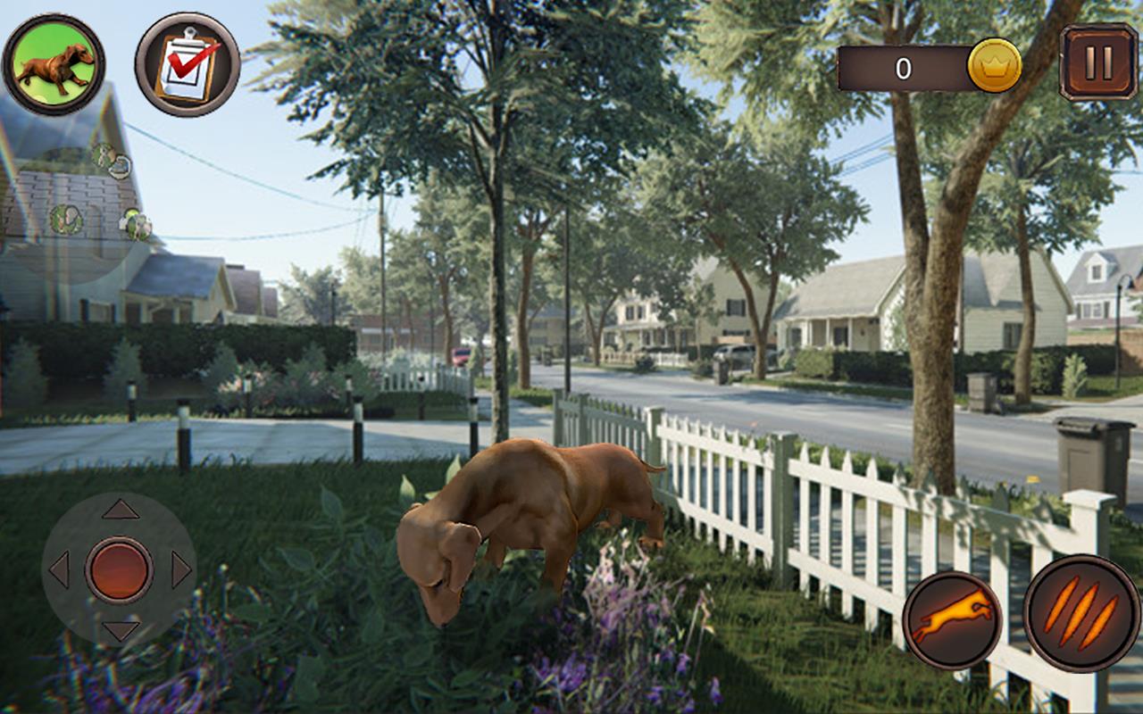 Dachshund Dog Simulator 3D Screenshot21