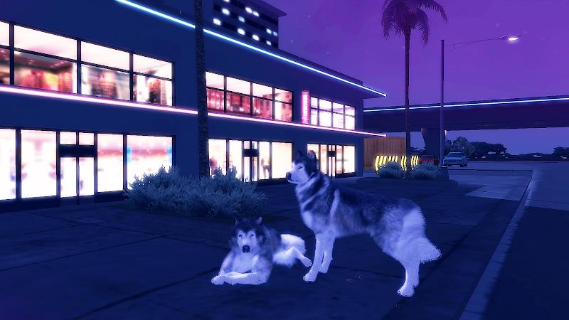 Husky Dog Simulator 3D Screenshot7