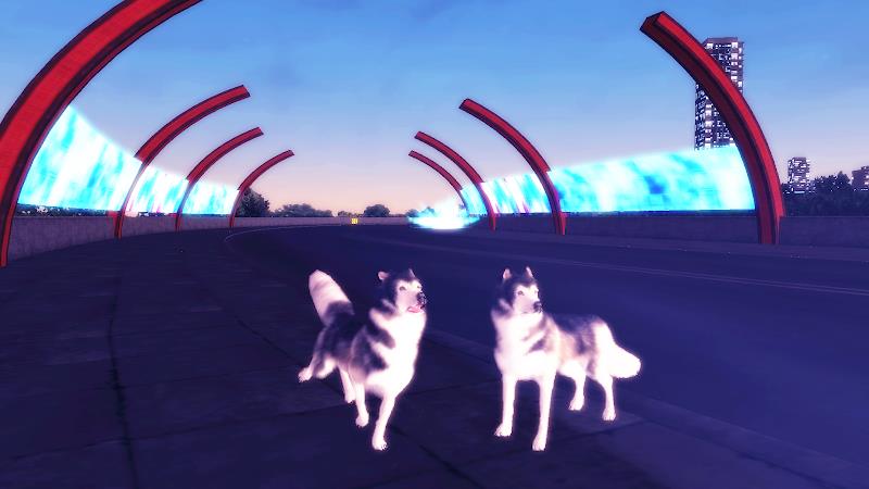 Husky Dog Simulator 3D Screenshot10