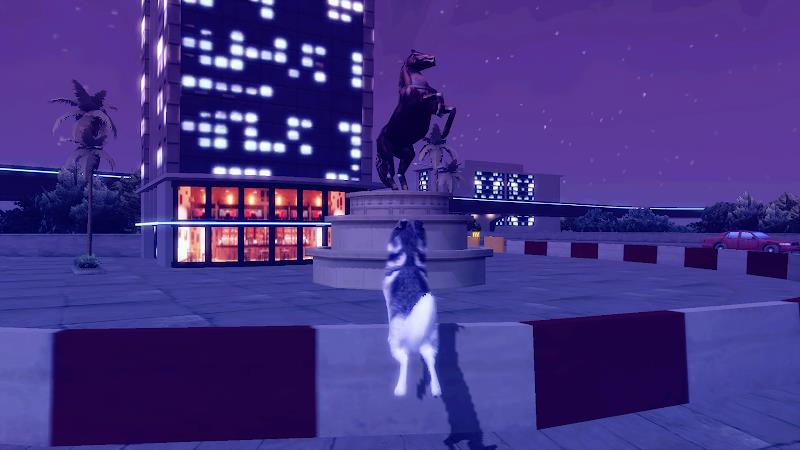Husky Dog Simulator 3D Screenshot23
