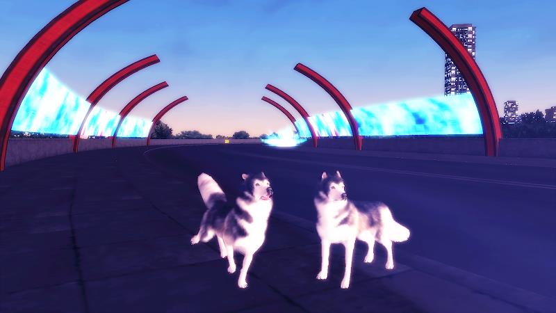 Husky Dog Simulator 3D Screenshot21