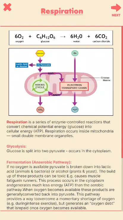 Run Through Respiration Screenshot7