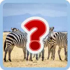 Animal Name Quiz APK