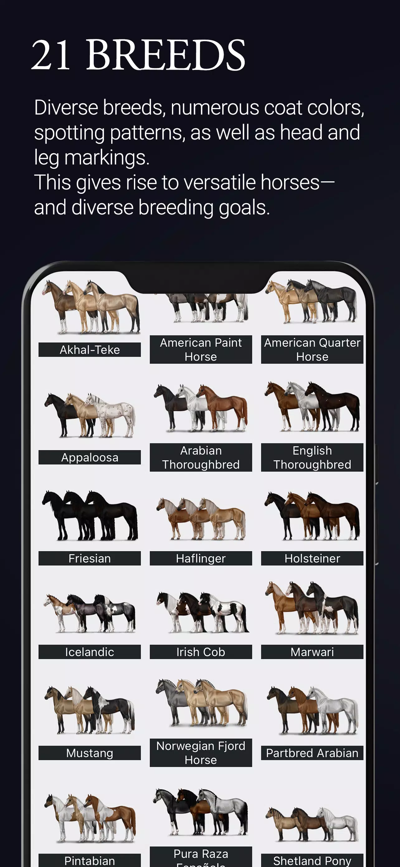 NOBLE HORSE CHAMPION Screenshot2