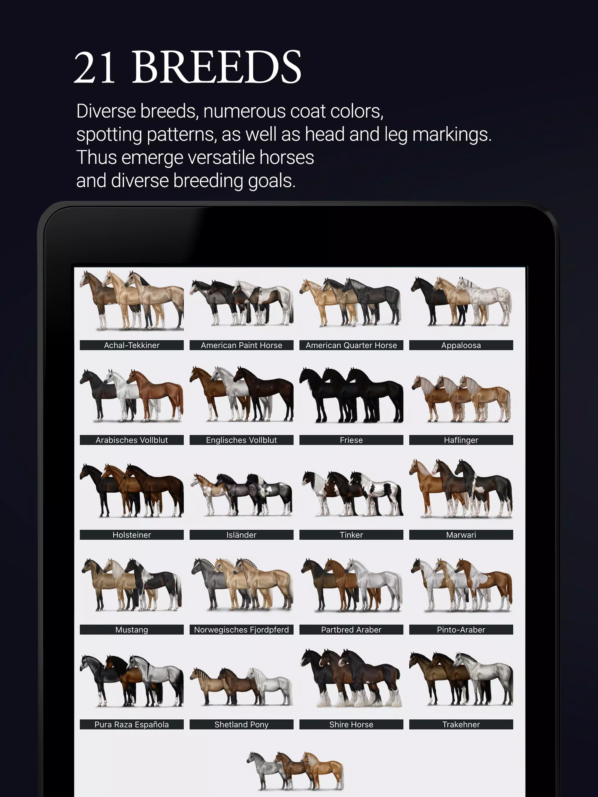 NOBLE HORSE CHAMPION Screenshot8