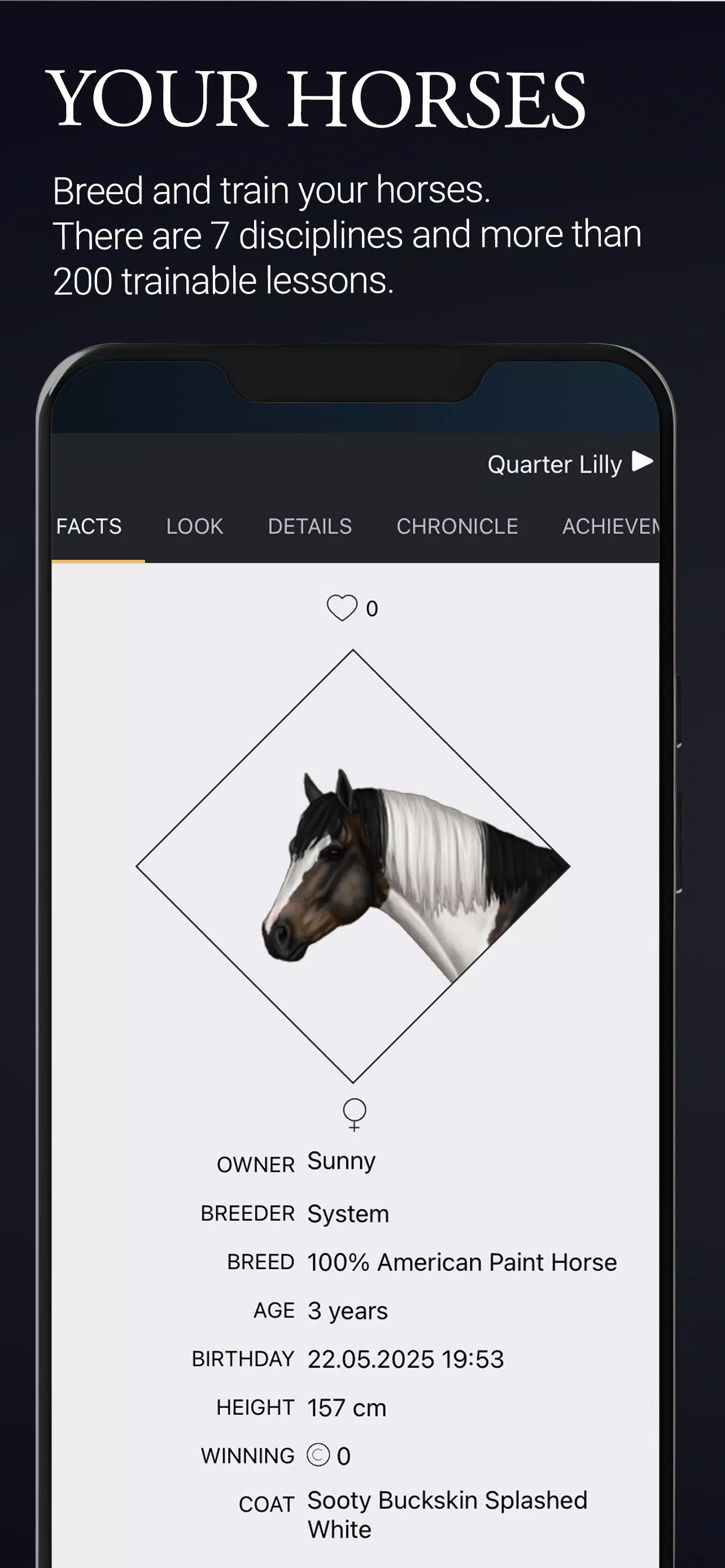 NOBLE HORSE CHAMPION Screenshot3
