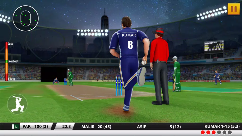 Ultimate Cricket Games Screenshot2