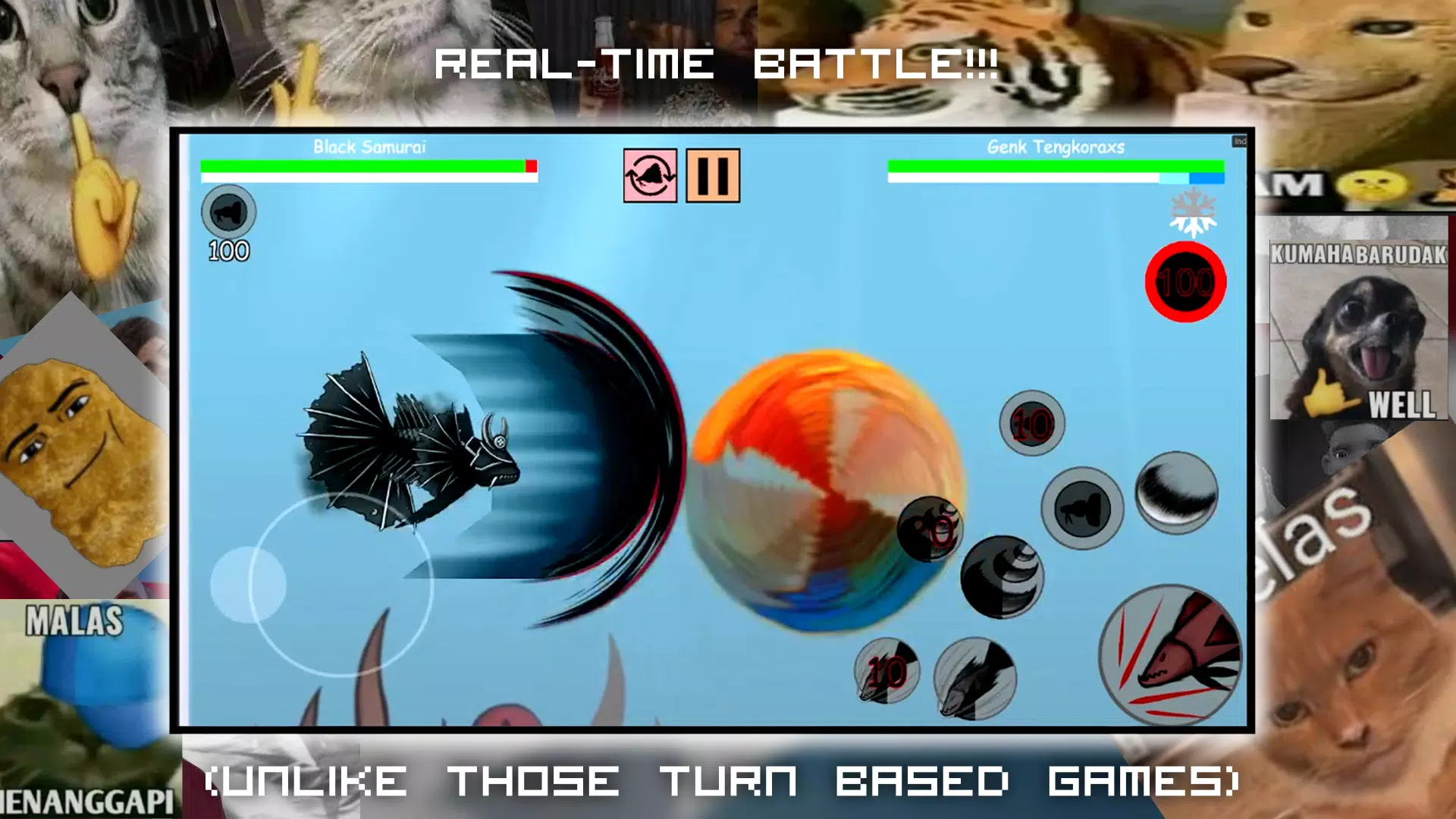 Cupangerz: Betta Battle! Screenshot2