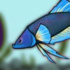 Cupangerz: Betta Battle! APK