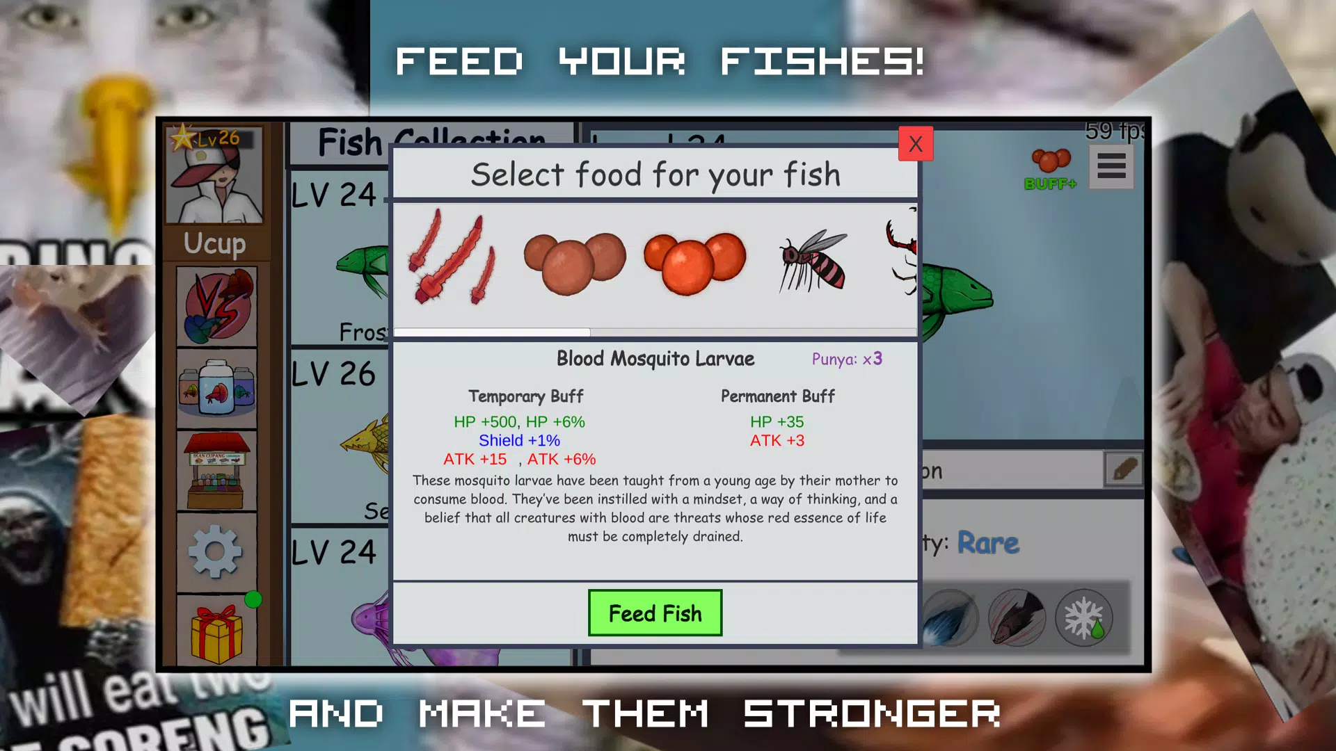 Cupangerz: Betta Battle! Screenshot4