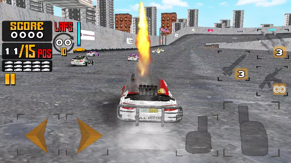Nascarmed Screenshot8