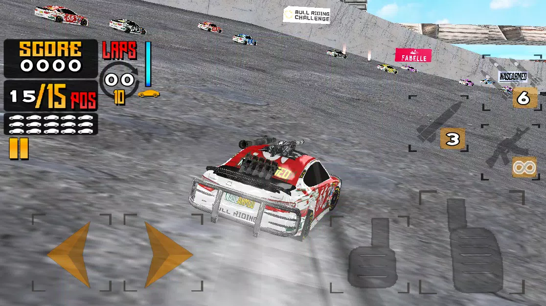 Nascarmed Screenshot6