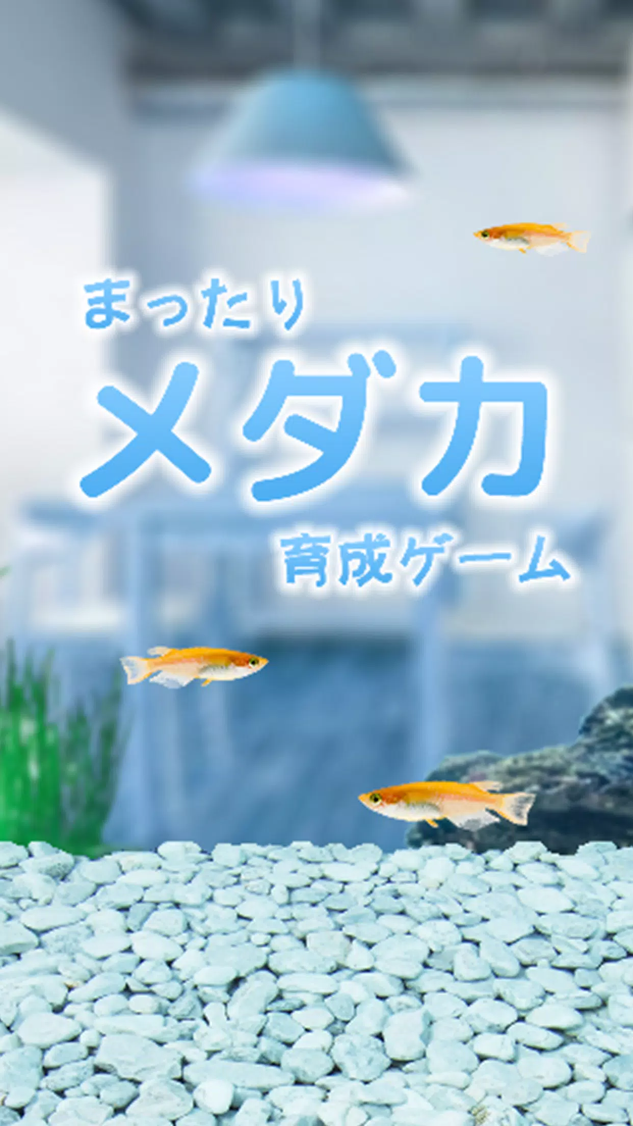 まったりメダカ育成ゲーム Screenshot1