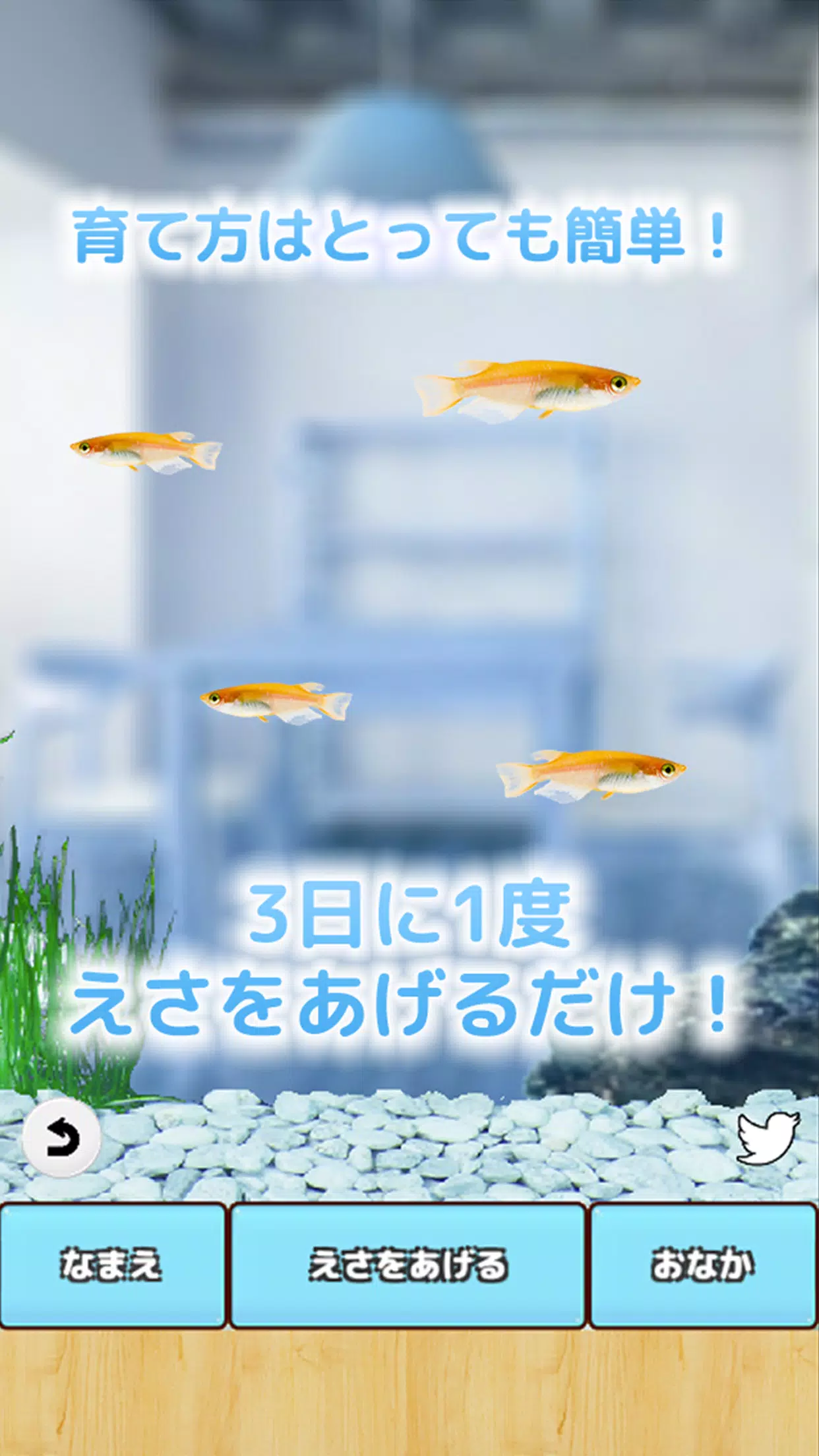 まったりメダカ育成ゲーム Screenshot2