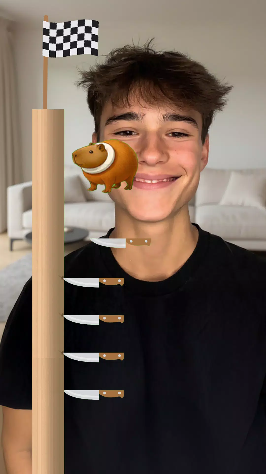Filter Game Screenshot1