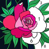 Daily Color APK