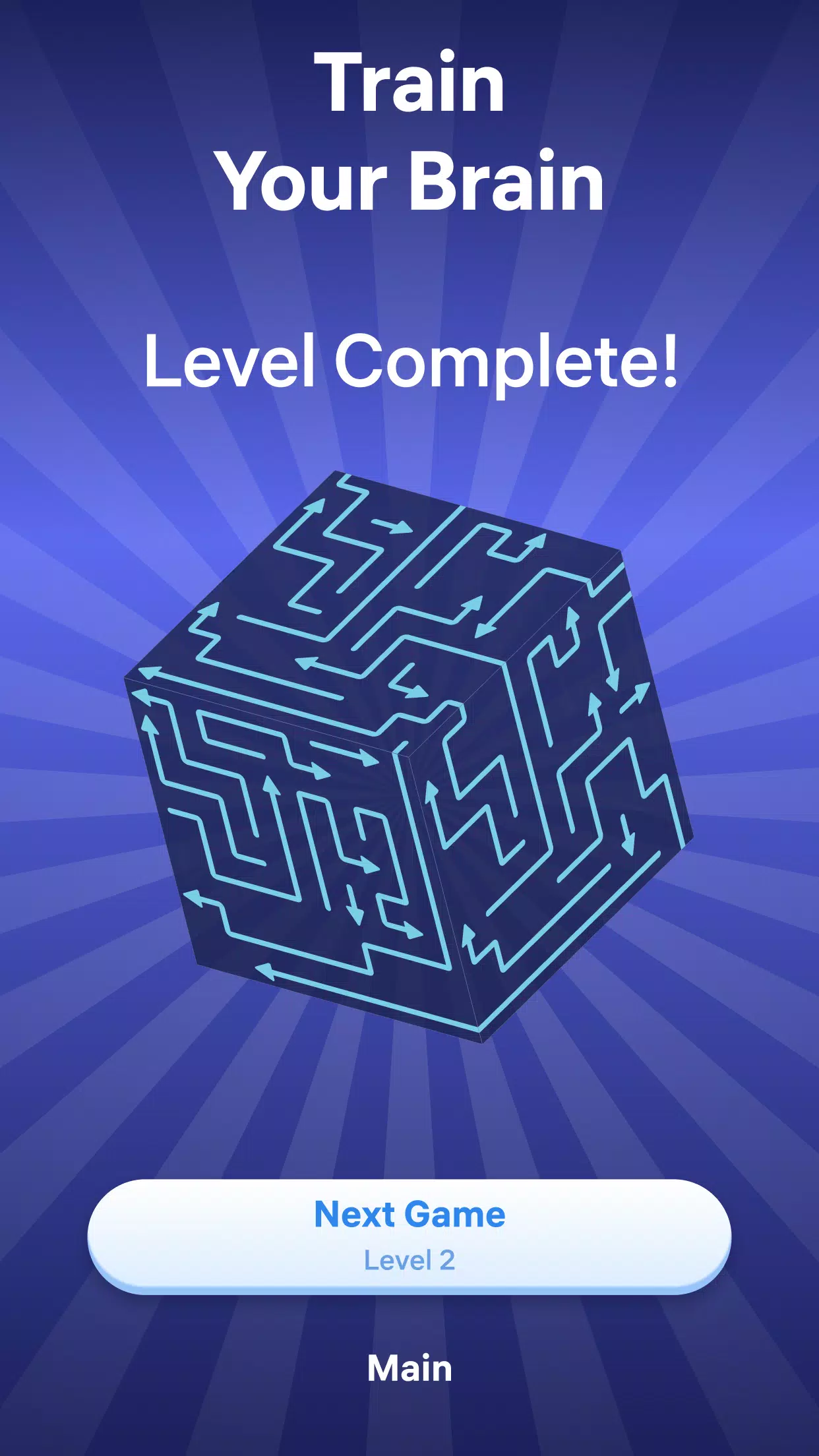 Arrow Puzzle 3D Screenshot5
